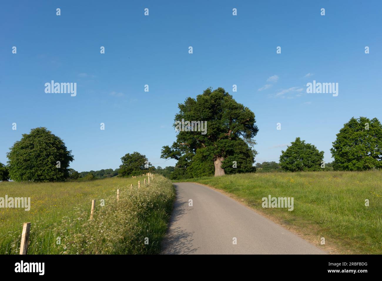 Eine malerische Wiese unter einem weiten blauen Himmel, eingerahmt von einem rustikalen Drahtzaun, lädt Sie ein, in die ruhige Schönheit des Deer Park Eastnor zu entfliehen Stockfoto