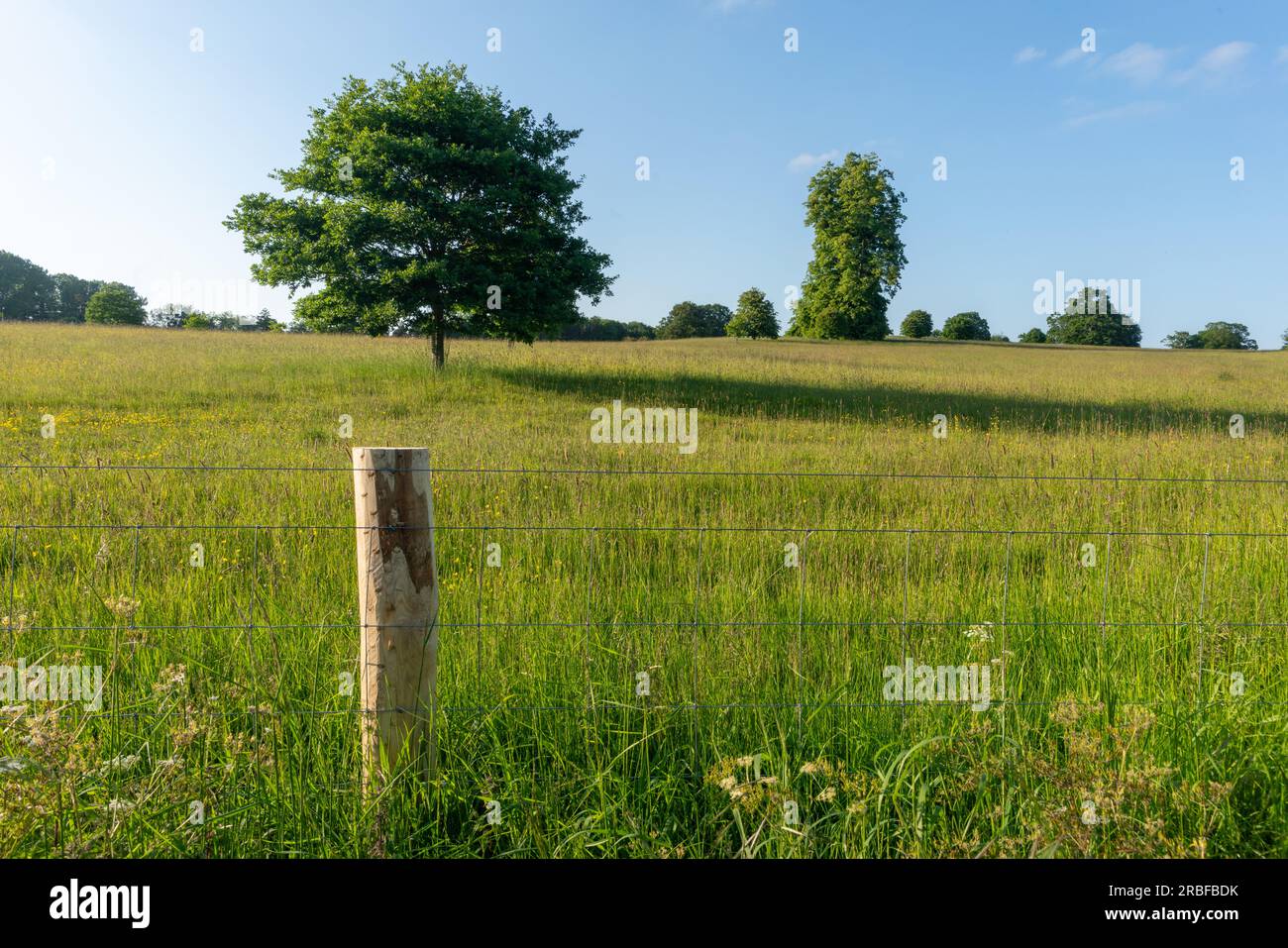 Eine malerische Wiese unter einem weiten blauen Himmel, eingerahmt von einem rustikalen Drahtzaun, lädt Sie ein, in die ruhige Schönheit des Deer Park Eastnor zu entfliehen Stockfoto