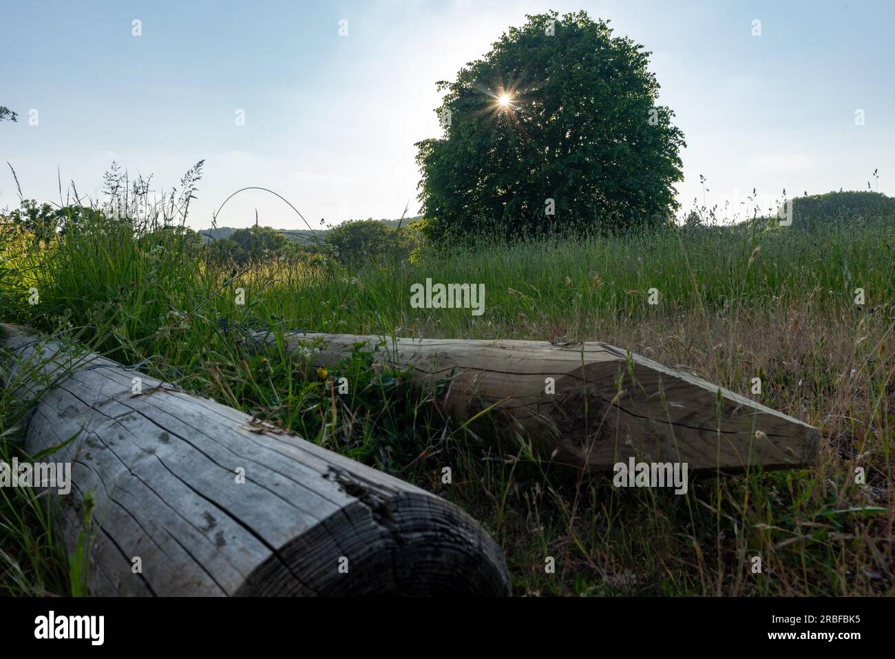 Eine malerische Wiese unter einem weiten blauen Himmel, eingerahmt von einem rustikalen Drahtzaun, lädt Sie ein, in die ruhige Schönheit des Deer Park Eastnor zu entfliehen Stockfoto