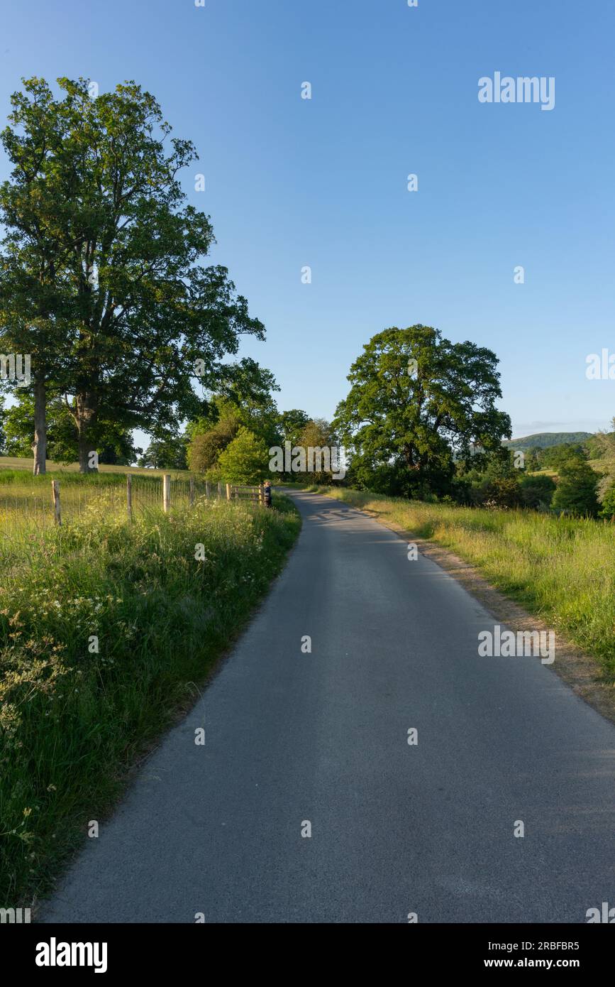 Eine malerische Wiese unter einem weiten blauen Himmel, eingerahmt von einem rustikalen Drahtzaun, lädt Sie ein, in die ruhige Schönheit des Deer Park Eastnor zu entfliehen Stockfoto