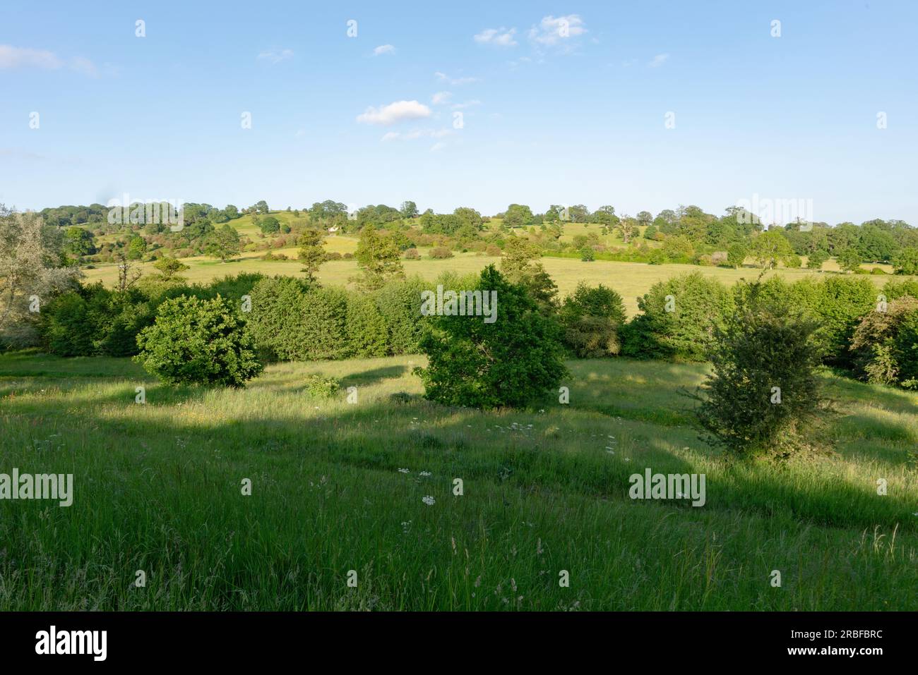 Eine malerische Wiese unter einem weiten blauen Himmel, eingerahmt von einem rustikalen Drahtzaun, lädt Sie ein, in die ruhige Schönheit des Deer Park Eastnor zu entfliehen Stockfoto