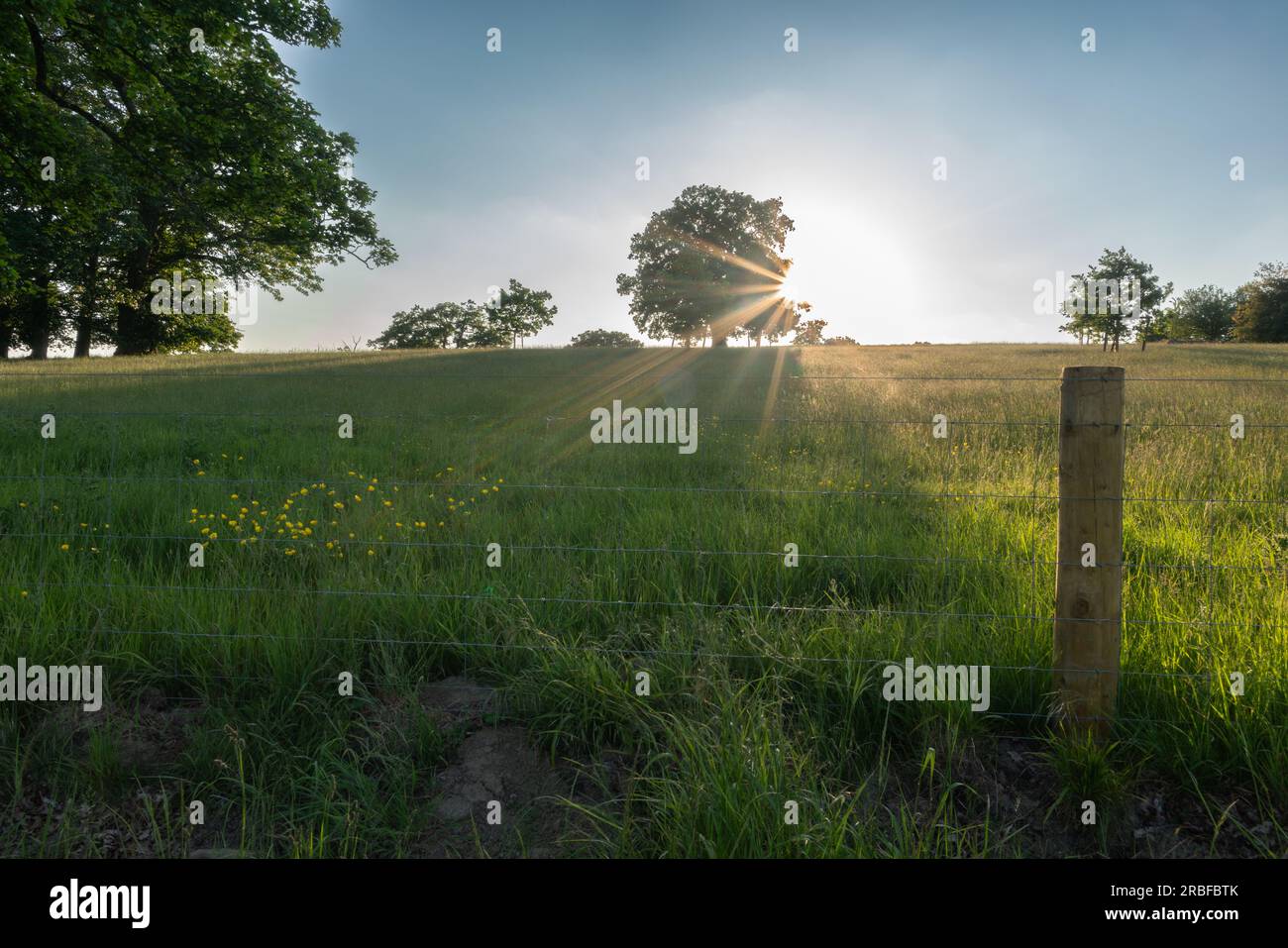 Eine malerische Wiese unter einem weiten blauen Himmel, eingerahmt von einem rustikalen Drahtzaun, lädt Sie ein, in die ruhige Schönheit des Deer Park Eastnor zu entfliehen Stockfoto