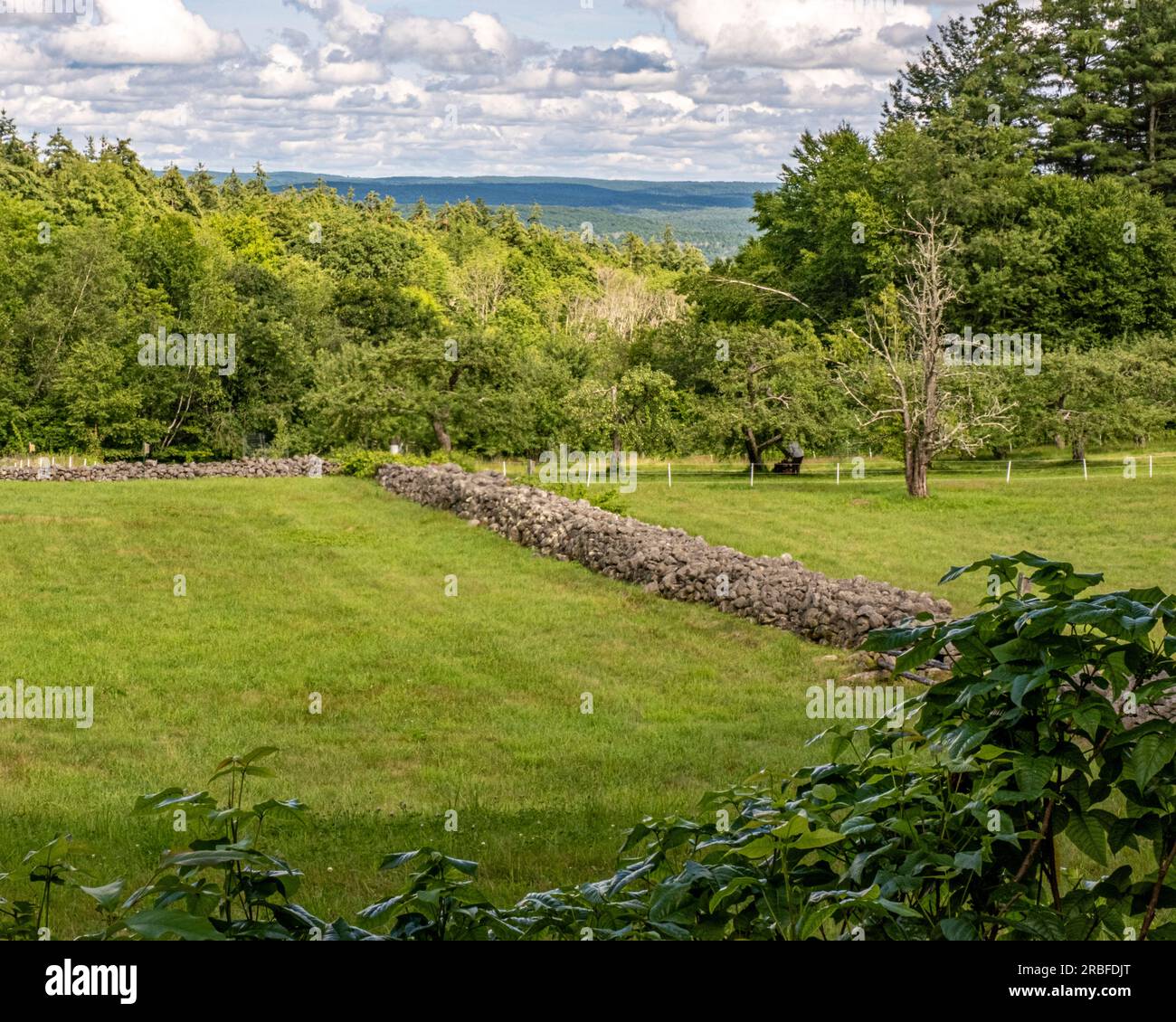 Ein Bauernhof in New Salem, Massachusetts Stockfoto