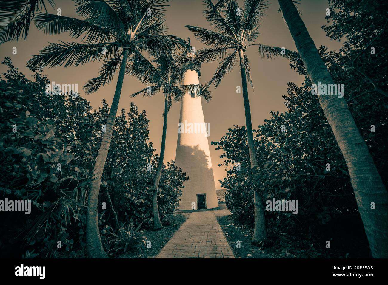 Cape Florida Light vom palmengesäumten Fußweg aus gesehen (monochrom) | Bill Baggs Cape Florida State Park, Key Biscayne, Florida, USA Stockfoto