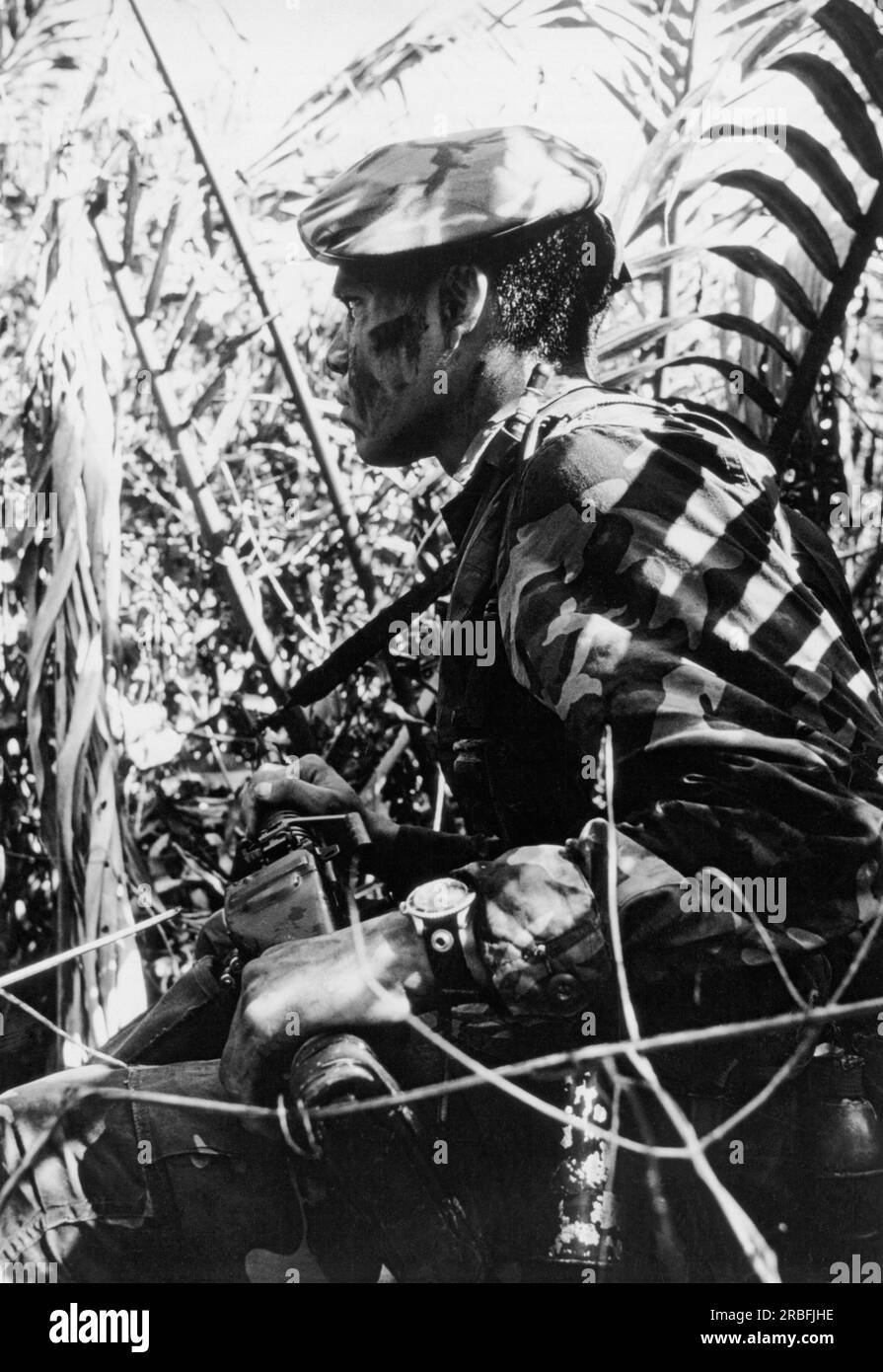 Mekong-Delta, Vietnam: Januar 1969 Ein Navy-SEAL mit getarntem Gesicht beobachtet während einer Such- und Zerstörungsmission bewusst nach Anzeichen von Vietcong-Aktivitäten. Stockfoto