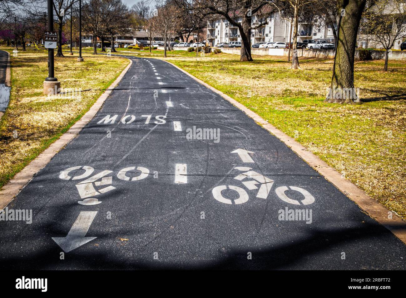 Fahrradweg mit zwei Spuren und Fahrradsymbolen im Park durch Bäume mit Wohnungen und Autos im Hintergrund - grauer Asphalt und selektiver Fokus Stockfoto