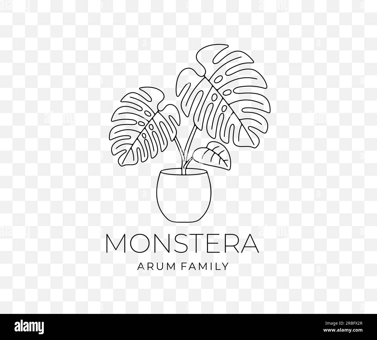 Monstera mit Blättern im Blumentopf, Kletterpflanze, lineares grafisches Design. Monstera deliciosa oder Philodendron, Pflanze, Natur und Flora, Vektordesign Stock Vektor