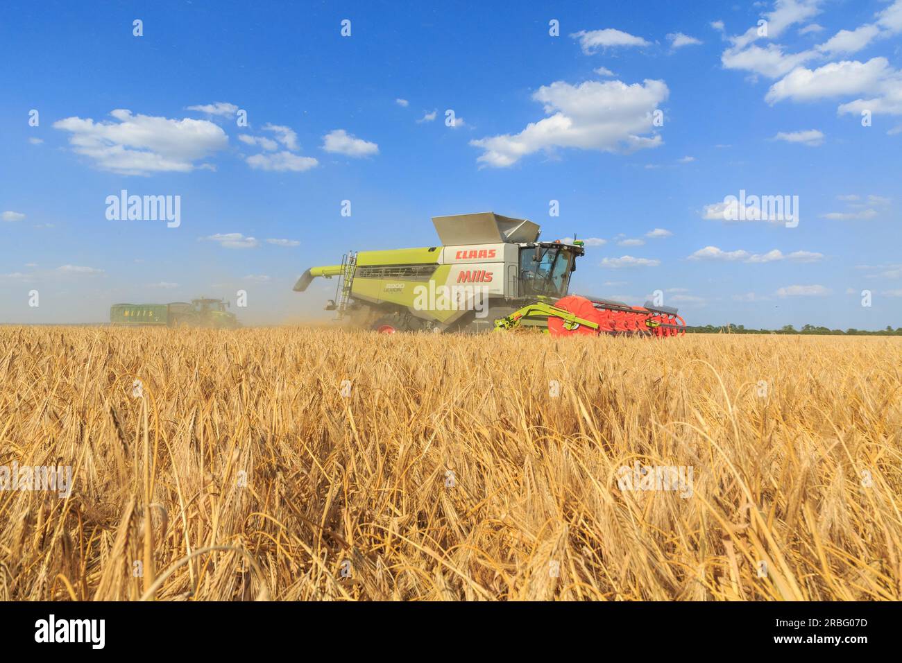7. Juli 2023 Ernte von Wintergerste in Rutland Stockfoto