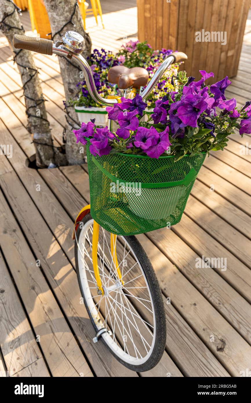 blumenkasten 17 cm breit Blumenkasten mit Untersetzer 60 cm lang Rattan-Optik anthrazit