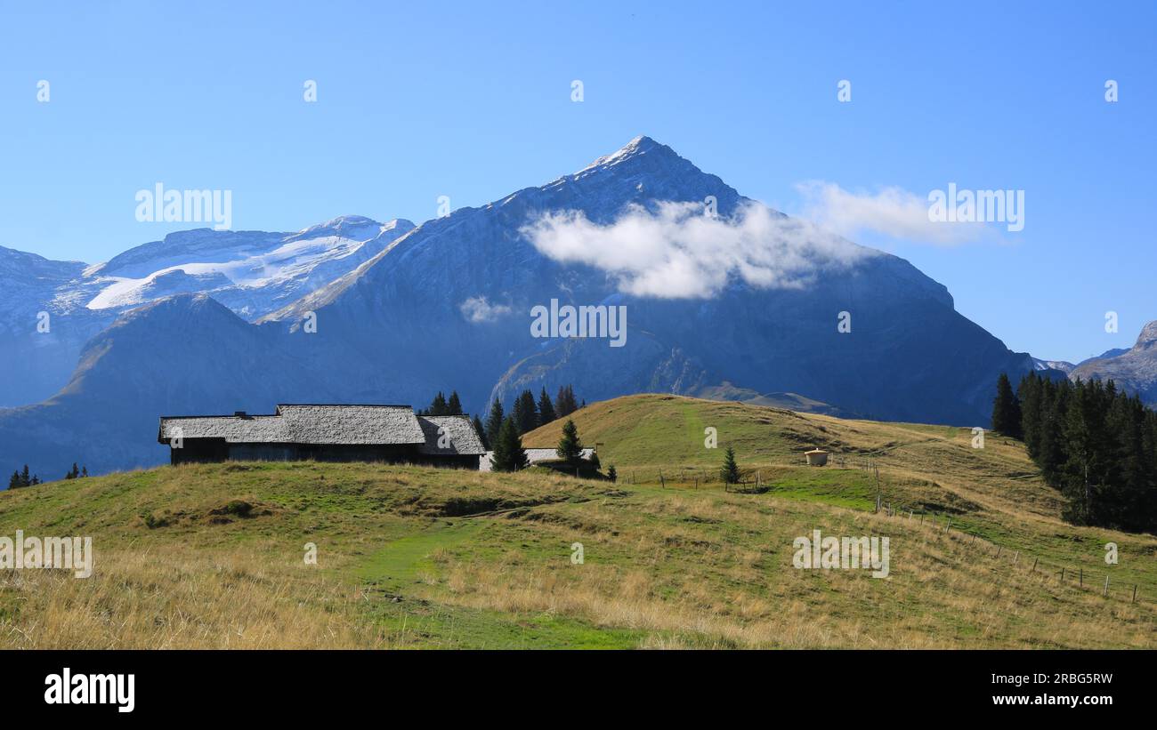 Frühherbstszene auf Mount Wispile, Schweiz Stockfoto