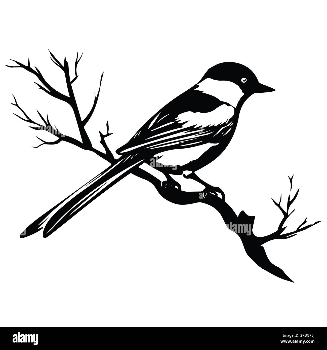 Vogel auf einem Ast. Stock Vektor