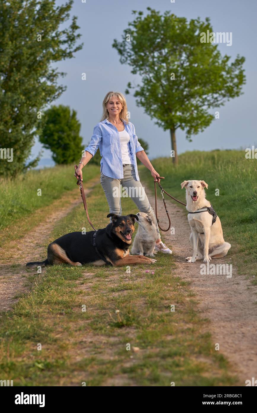 Attraktive blonde Frau auf einem ländlichen Weg mit ihren drei Hunde an der Leine bei Sonnenuntergang mit Blick auf die Kamera mit einer warmen, freundlichen Lächeln Stockfoto