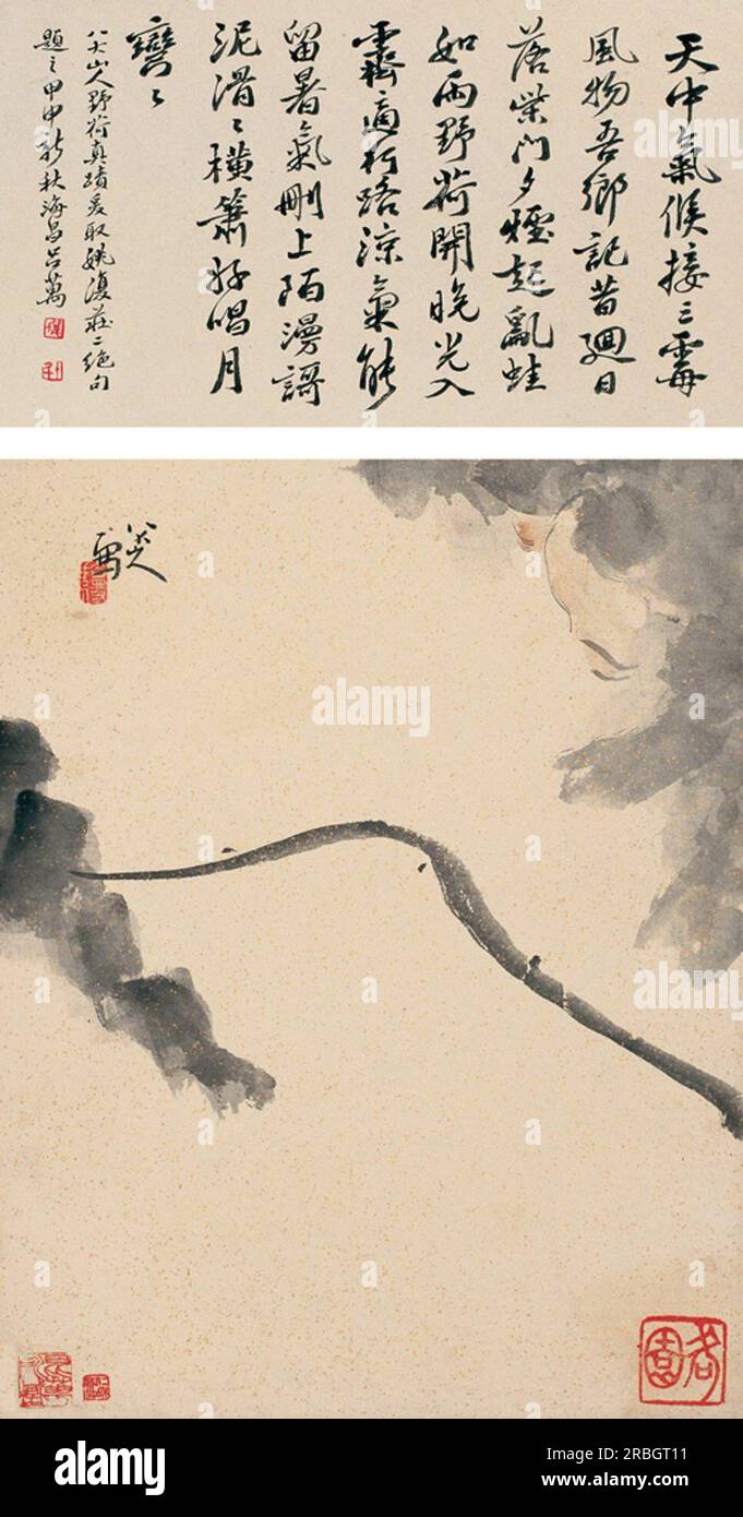 Lotus von Bada Shanren Stockfoto