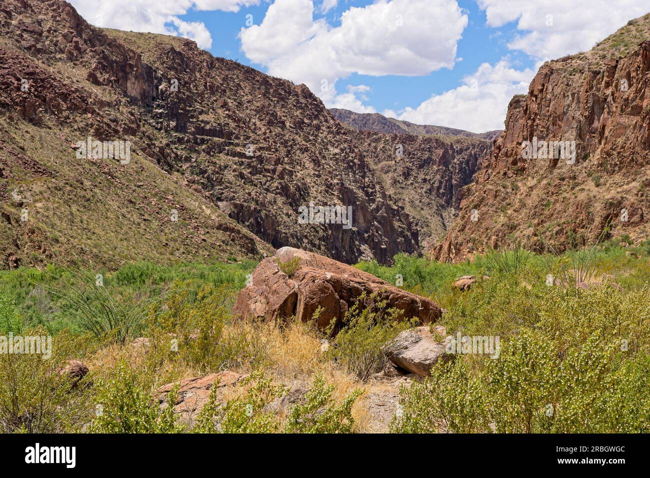 Zerklüftete Felswände im Big Bend Ranch State Park im Frühling Stockfoto