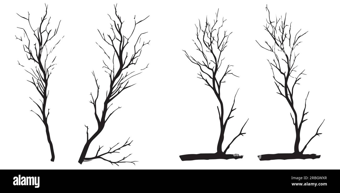 Vektorillustration für Silhouettenbaum-Verzweigungen Stock Vektor