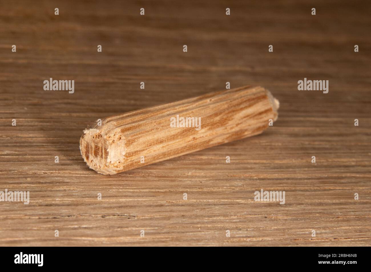 Einzelne Eichendübel auf Eichenhintergrund, Dübel zum Verbinden zweier Holzstücke, Gelenk, Schreiner Stockfoto