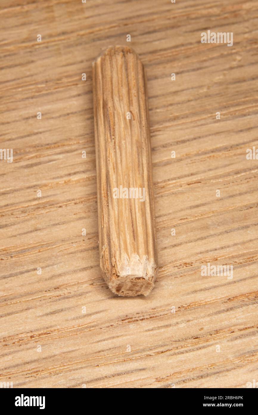 Einzelne Eichendübel auf Eichenhintergrund, Dübel zum Verbinden zweier Holzstücke, Gelenk, Schreiner Stockfoto