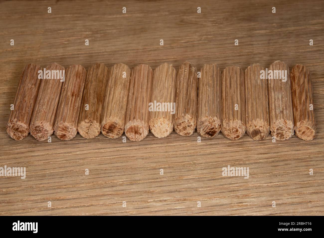 Reihe von Eichendübel auf Eichenhintergrund, Dübel zum Verbinden zweier Holzstücke, Gelenk, Schreiner Stockfoto
