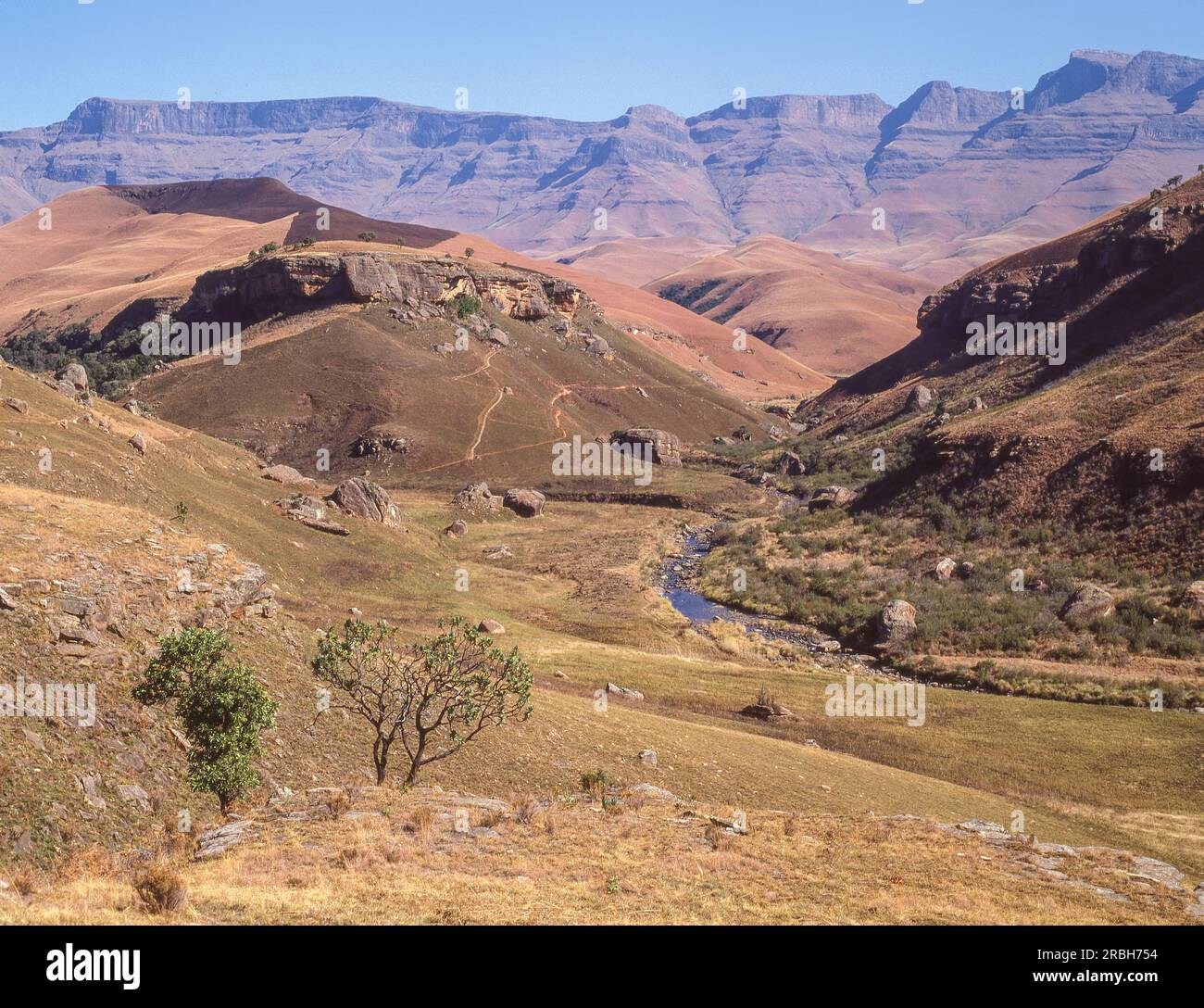 Der Bushmans River fließt durch das Giants Castle Game Reserve im Ukhahlamba Drakensberg Park in KwaZulu-Natal in Südafrika. Stockfoto