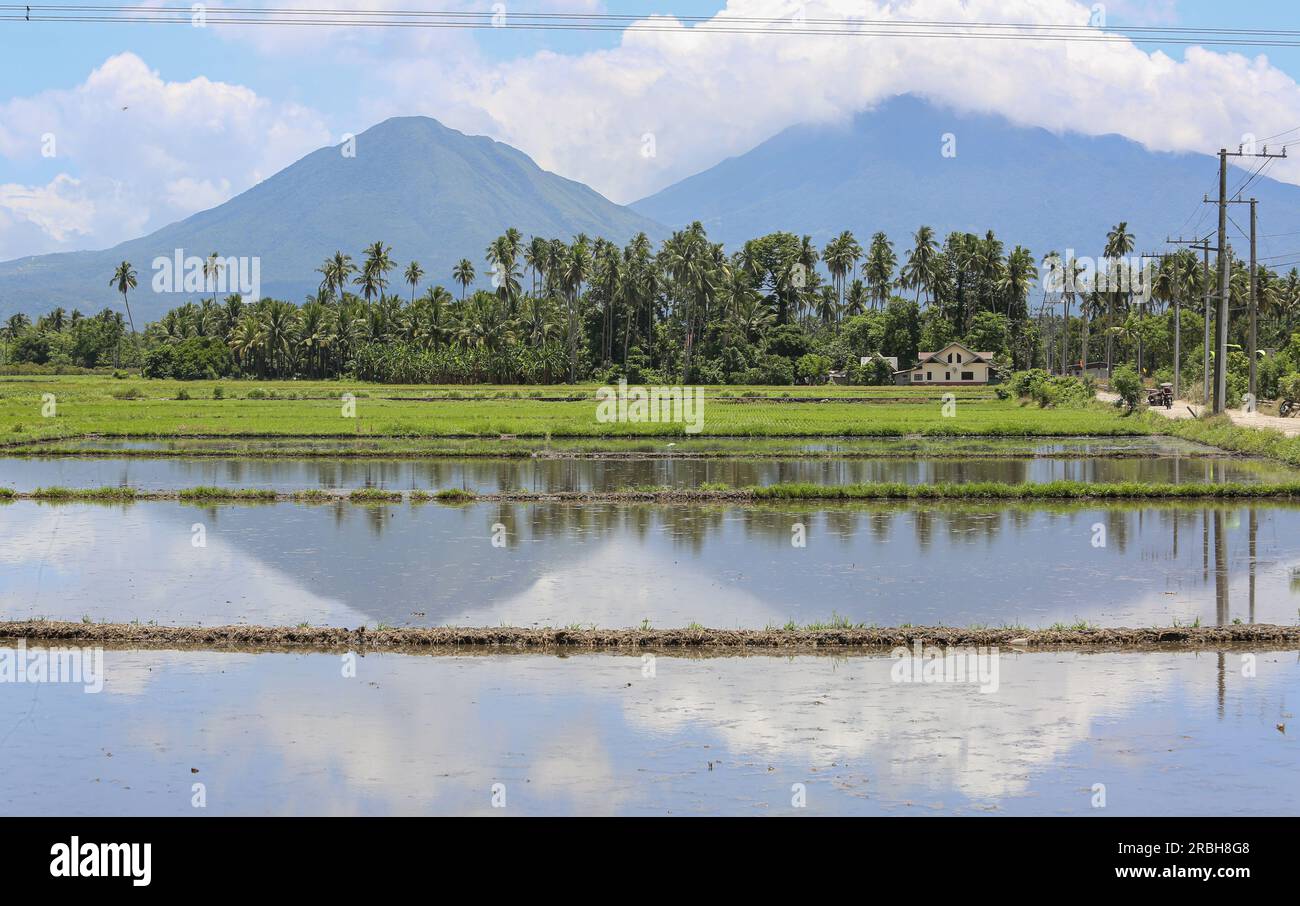 San Pablo, Philippinen. 10. Juli 2023 : der Berg Banahaw mit Reisfeldern in verschiedenen Wachstumsphasen des Anbaus, im Vordergrund überflutet und im Hintergrund blüht. Präsident Marcos erließ ein Gesetz, das die Landwirte von jahrzehntelangen Schulden im Rahmen des umfassenden Agrarreformprogramms entlasten soll, das Land an die Bodenfräsen verteilt, aber nicht umsonst. Das neue Agraremanzipationsgesetz billigte insgesamt P57,65 Milliarden unbezahlte Amortisierungen (1 Milliarden US-Dollar), von denen mehr als 600.000 philippinische Landwirte landesweit 1,7 Millionen Hektar bewirtschaften konnten. Kevin Izorce/Alamy Live News Stockfoto