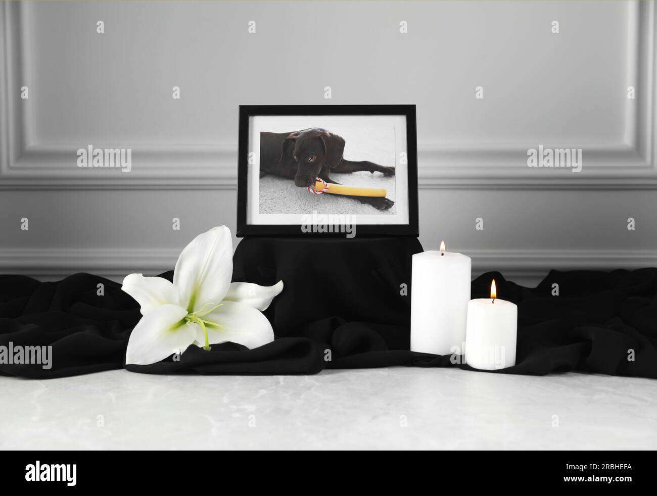 Rahmen mit Bild eines Hundes, brennenden Kerzen und Lilienblume auf hellgrauem Tisch. Haustierbeerdigung Stockfoto
