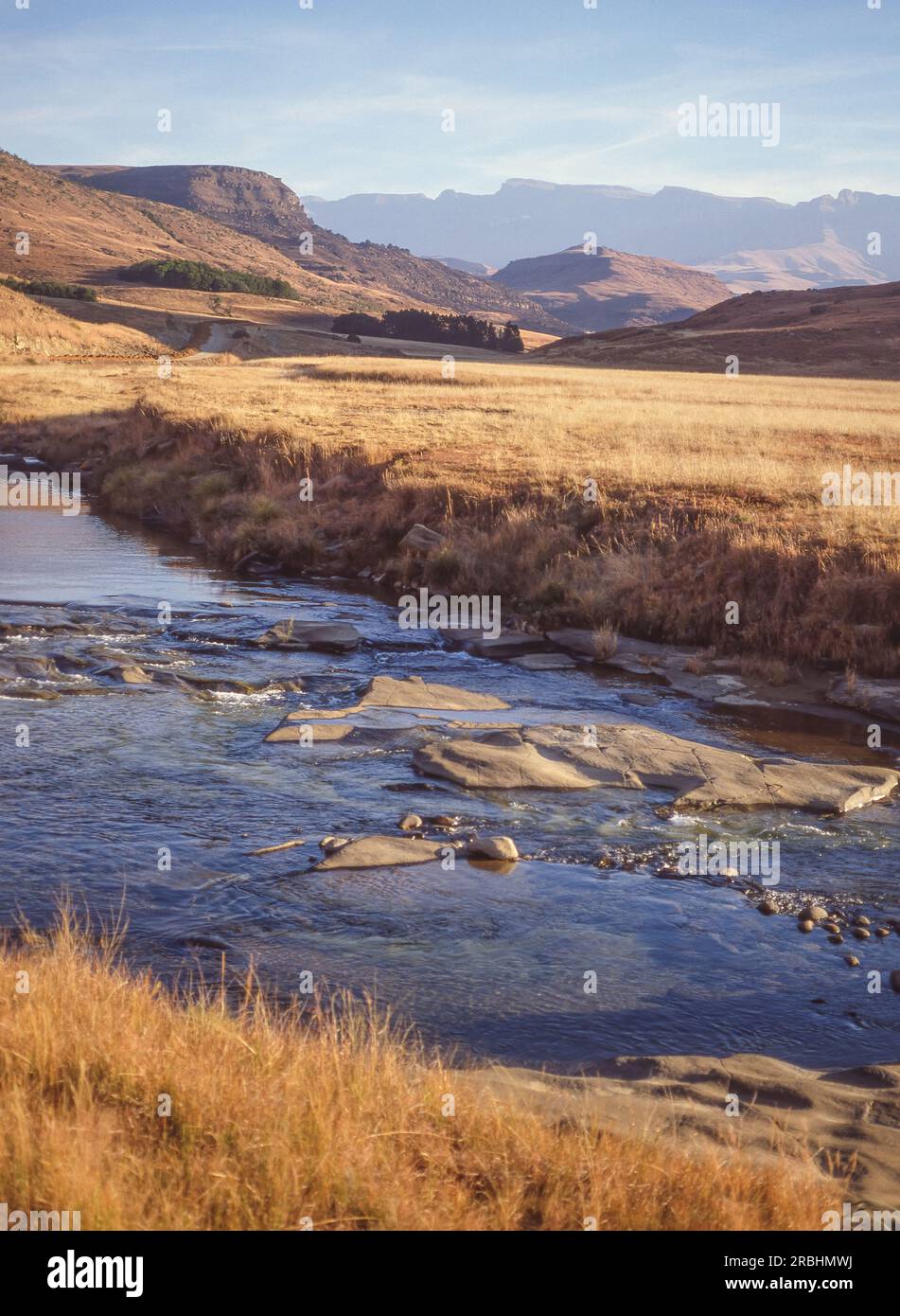 Der Fluss Bushmans fließt in der Nähe des Wildreservats Giants Castle im Ukhahlamba Drakensberg Park in KwaZulu-Natal in Südafrika. Stockfoto