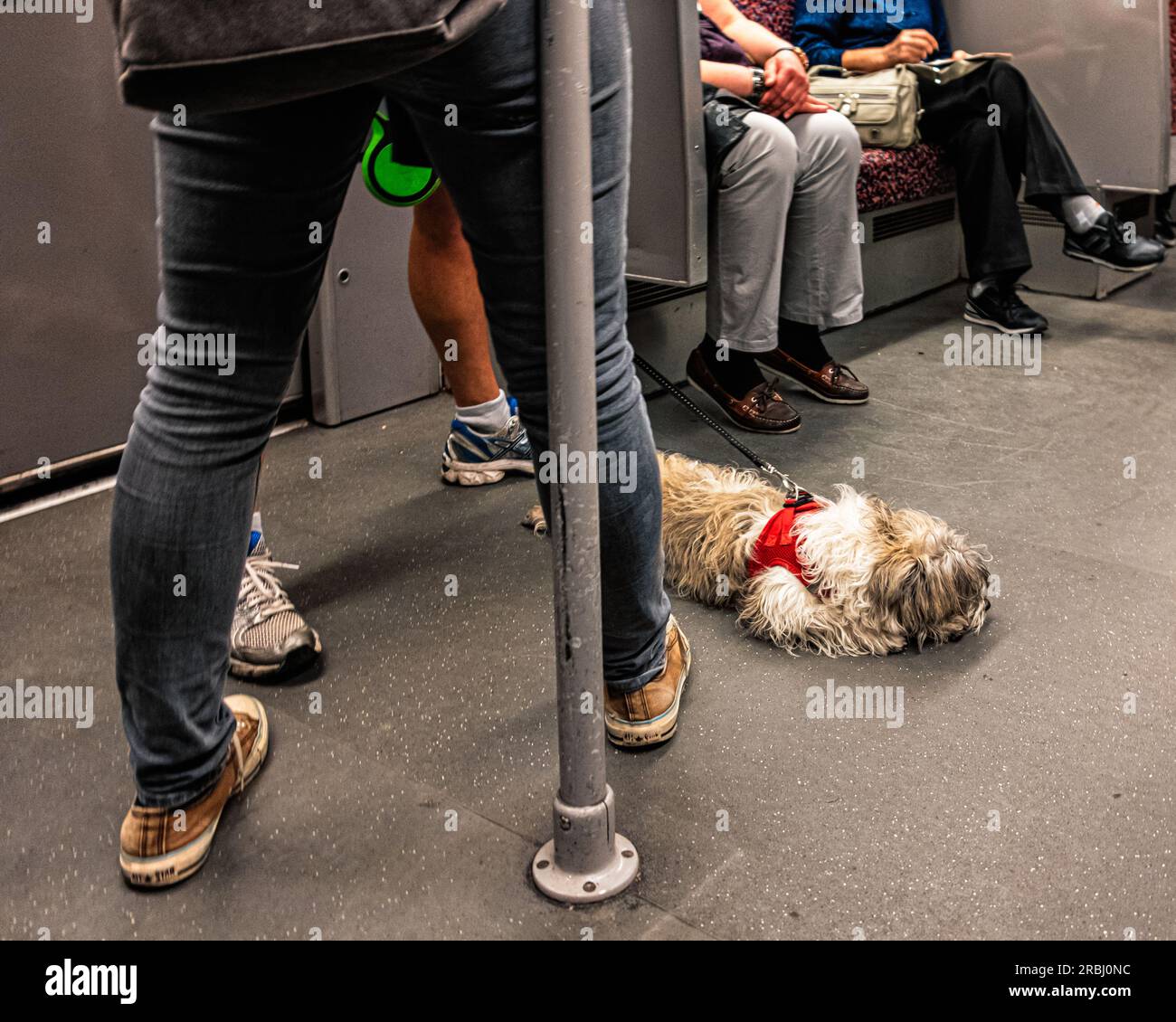 Innere U-Bahn-Kutsche mit sitzenden Personen und Hund auf dem Boden, Berlin Stockfoto