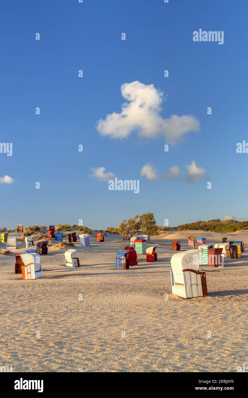 Liegestühle und Strandzelte am Strand, Insel Borkum, Niedersachsen, Deutschland Stockfoto