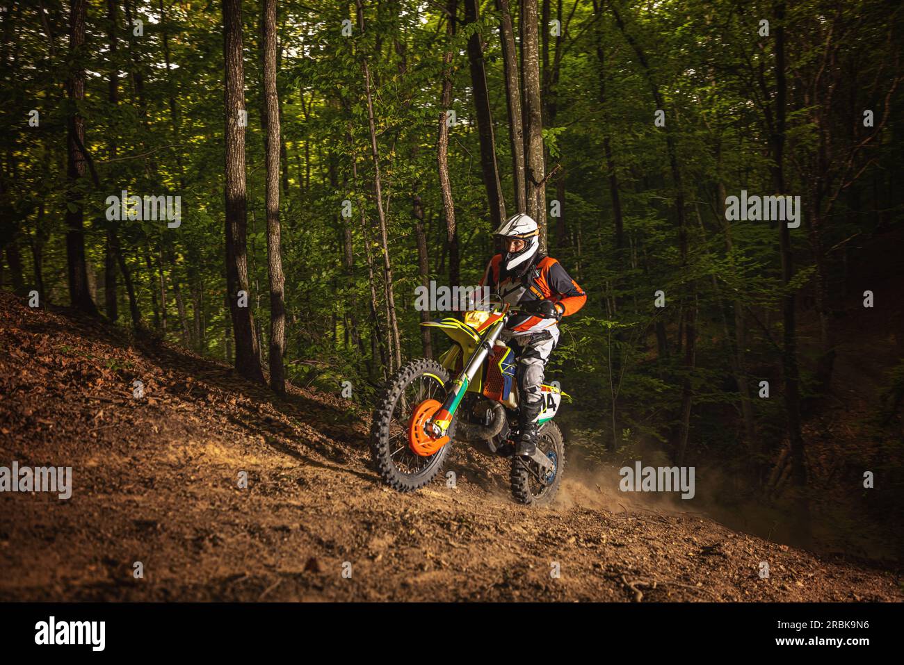 Motocross-Rennfahrer im Wald. Extremsportkonzept Stockfoto