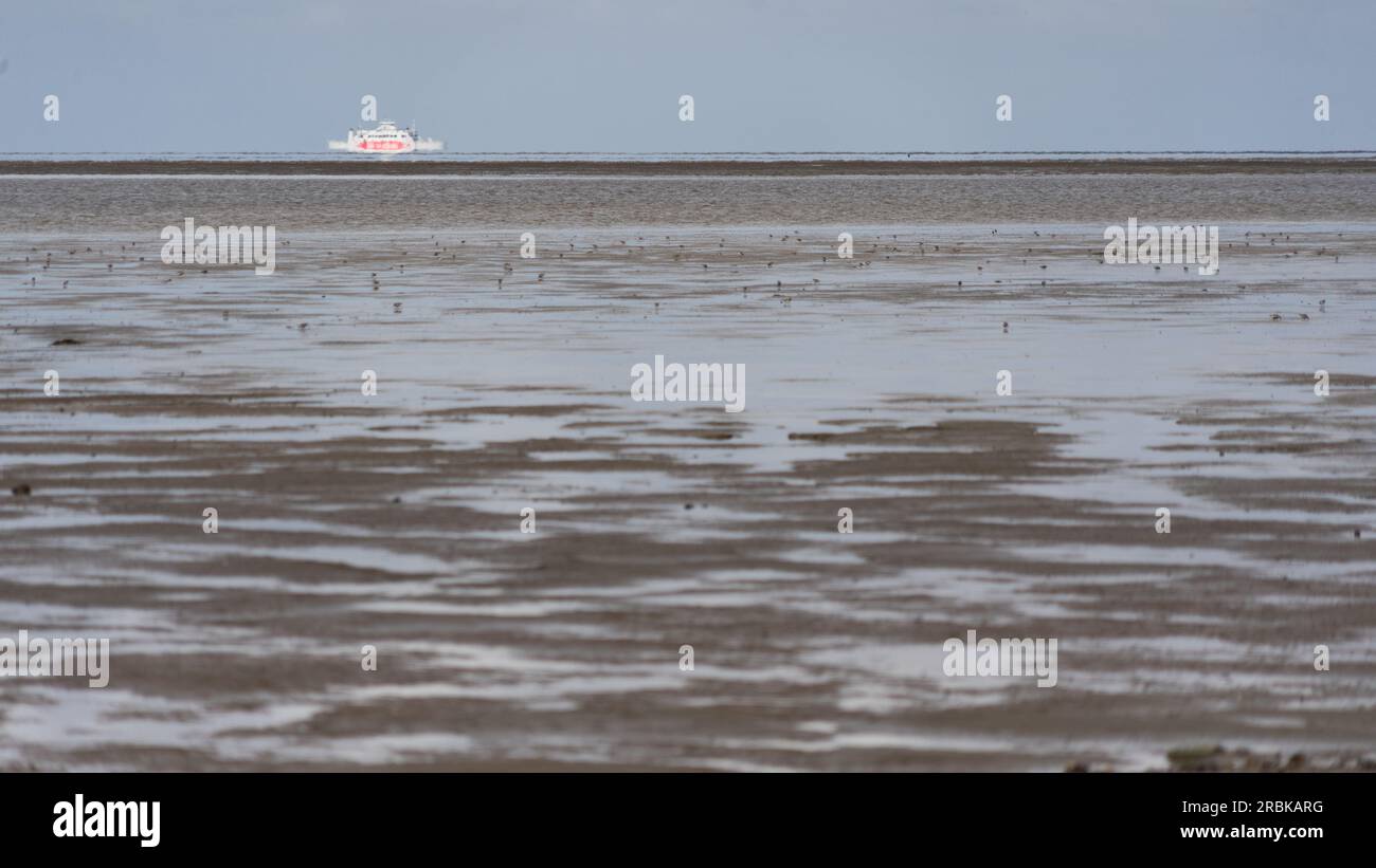 Die Inselfähre zwischen Sylt und Rømø schimmert bei Ebbe wie eine Fata Morgana am Horizont hinter den Wattenmeeren Stockfoto