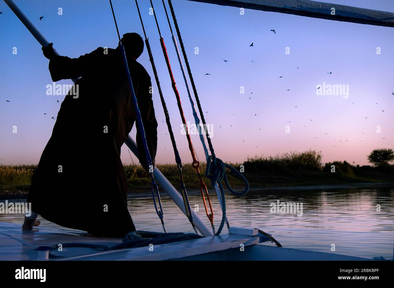 Der Mann Rudert Bei Dawn Den Nil Hinunter Stockfoto