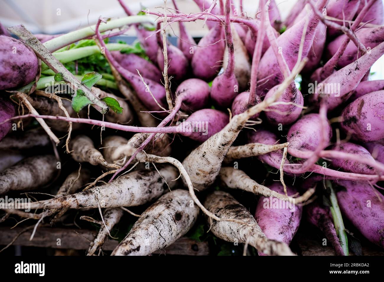 Nahaufnahme von frischem Bio-Gemüse draußen auf dem Markt Stockfoto