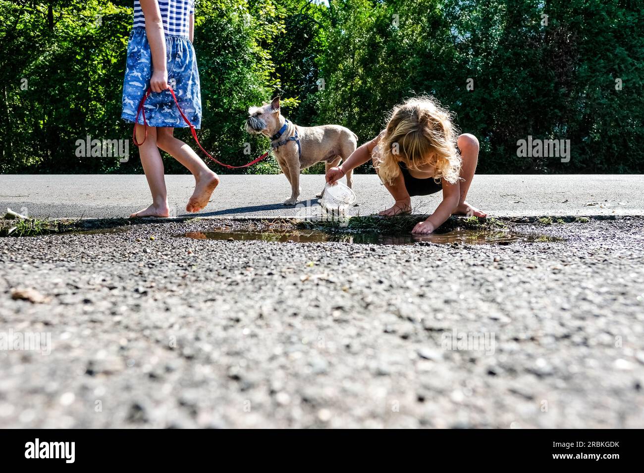 Zwei Mädchen, die draußen auf der Straße Pfütze spielen und ein Hund Stockfoto