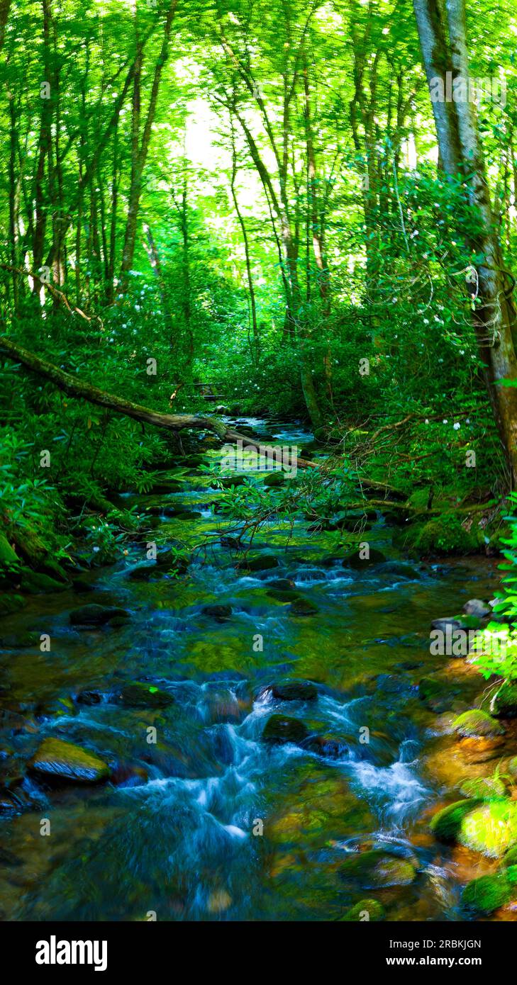 Rough Fork Trail, Cataloochee Valley NC Stockfoto