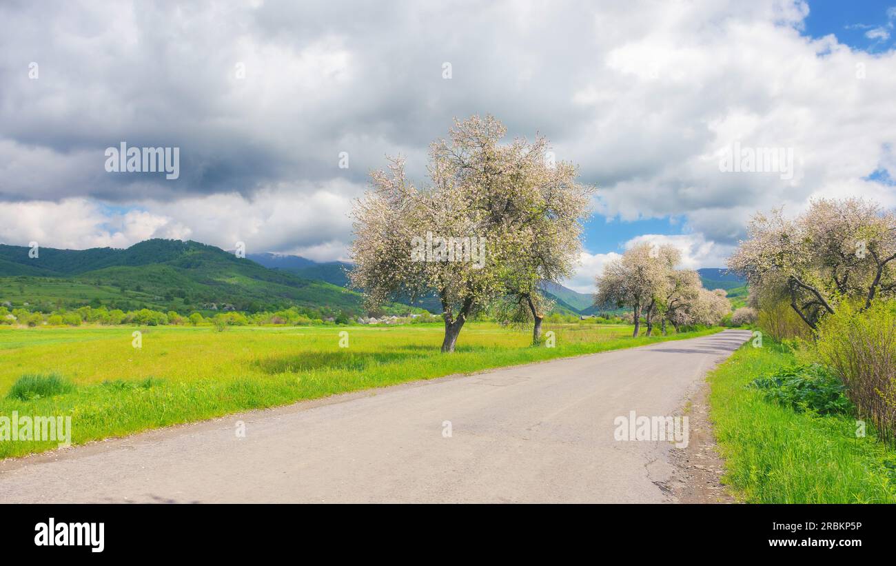 Die Schönheit des Frühlings wird im malerischen Hintergrund der Landschaft festgehalten, während sich die Straße durch üppige Felder und blühende Bäume schlängelt. Landschaft umgeben von B Stockfoto