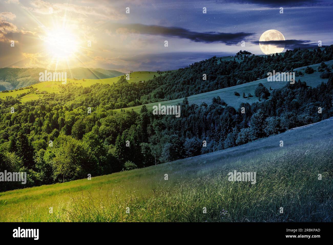 Tag- und Nachtzeit-Änderungskonzept. Sommerlandschaft mit grünen Feldern und Pinienwald auf dem Hügel mit Sonne und Mond in der Dämmerung Stockfoto
