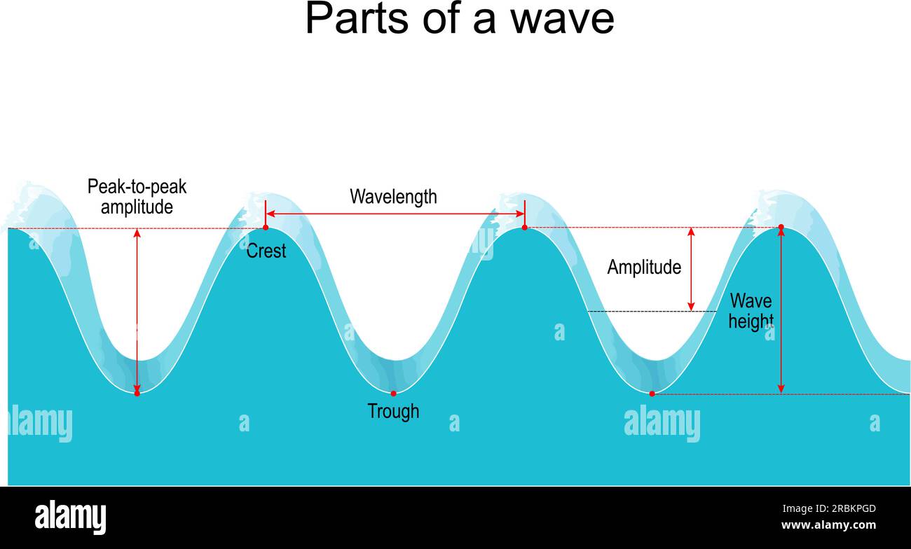 Teile von A Wave Crest, Trough, Wellenlänge und Amplitude. vektordarstellung Stock Vektor