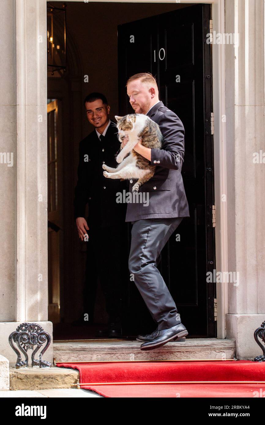 Downing Street, London, Großbritannien. 10. Juli 2023 Die Sicherheitsleute entfernen Larry, die Katze, vom roten Teppich, bevor der Präsident der Vereinigten Staaten von Amerika, Joe Biden, nach Downing Street, London, Großbritannien kommt. Foto: Amanda Rose/Alamy Live News Stockfoto