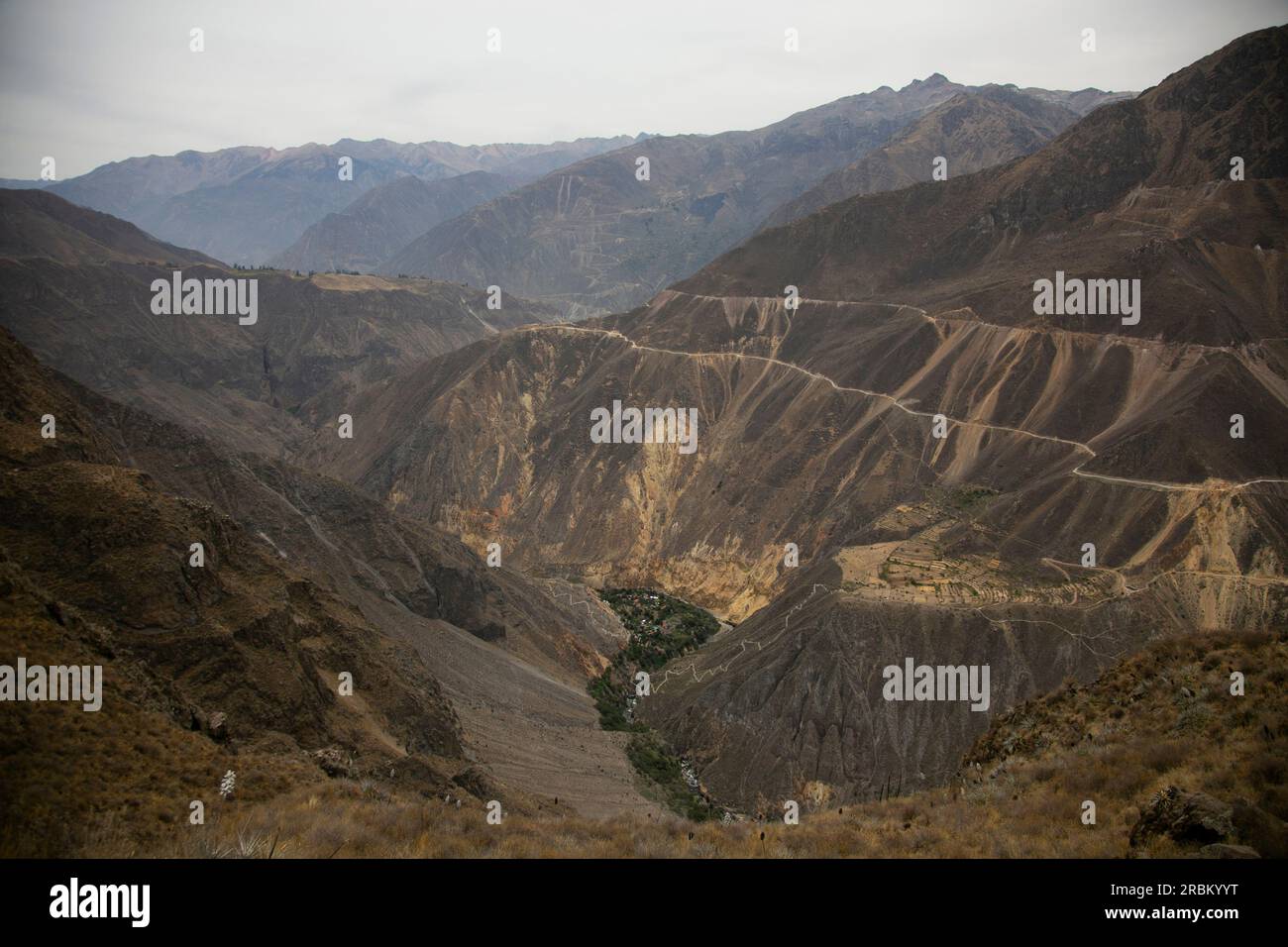 Wandern Sie durch den Colca Canyon entlang der Route von Cabanaconde zur Sangalle Oase. Stockfoto