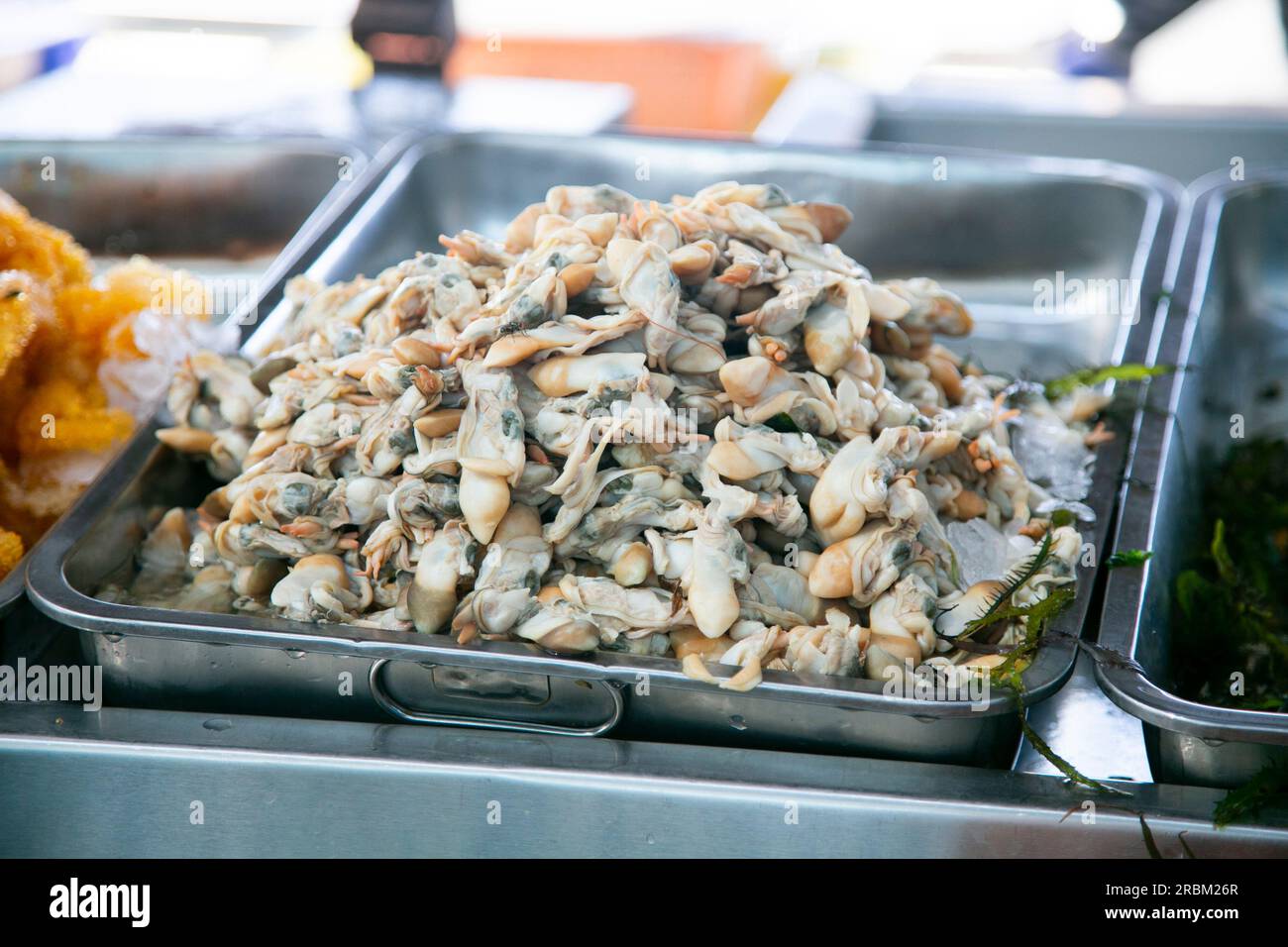 Peruanische Krebstiere und Weichtiere. Fischstände auf dem Lebensmittelmarkt Sant Camilo in Arequipa, Peru. Stockfoto