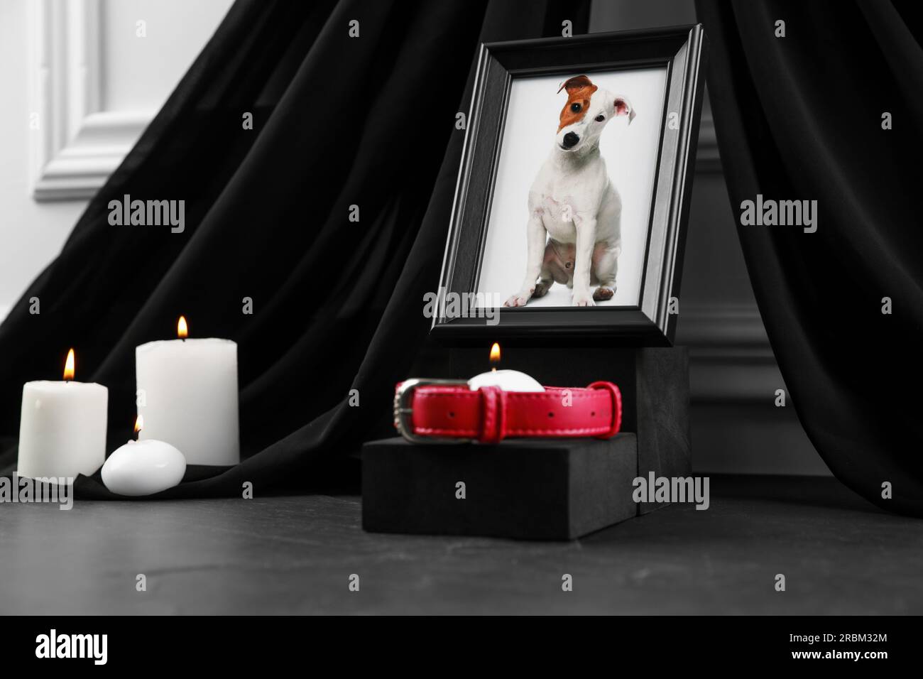 Rahmen mit Bild von Hund, Halsband und brennenden Kerzen auf grauem Tisch. Haustierbeerdigung Stockfoto