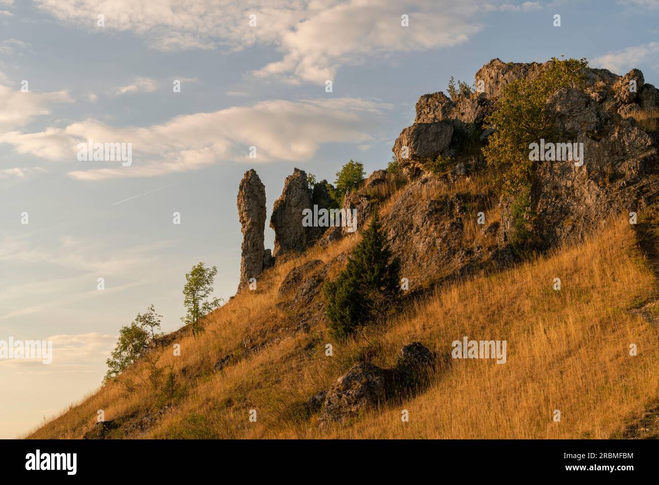 Dolomitfelsen auf dem Tafelberg Ehrenbürg oder der „Walberla“, Naturpark der fränkischen Schweiz, Stadtteil Forchheim, Oberfrankreich, Franc Stockfoto