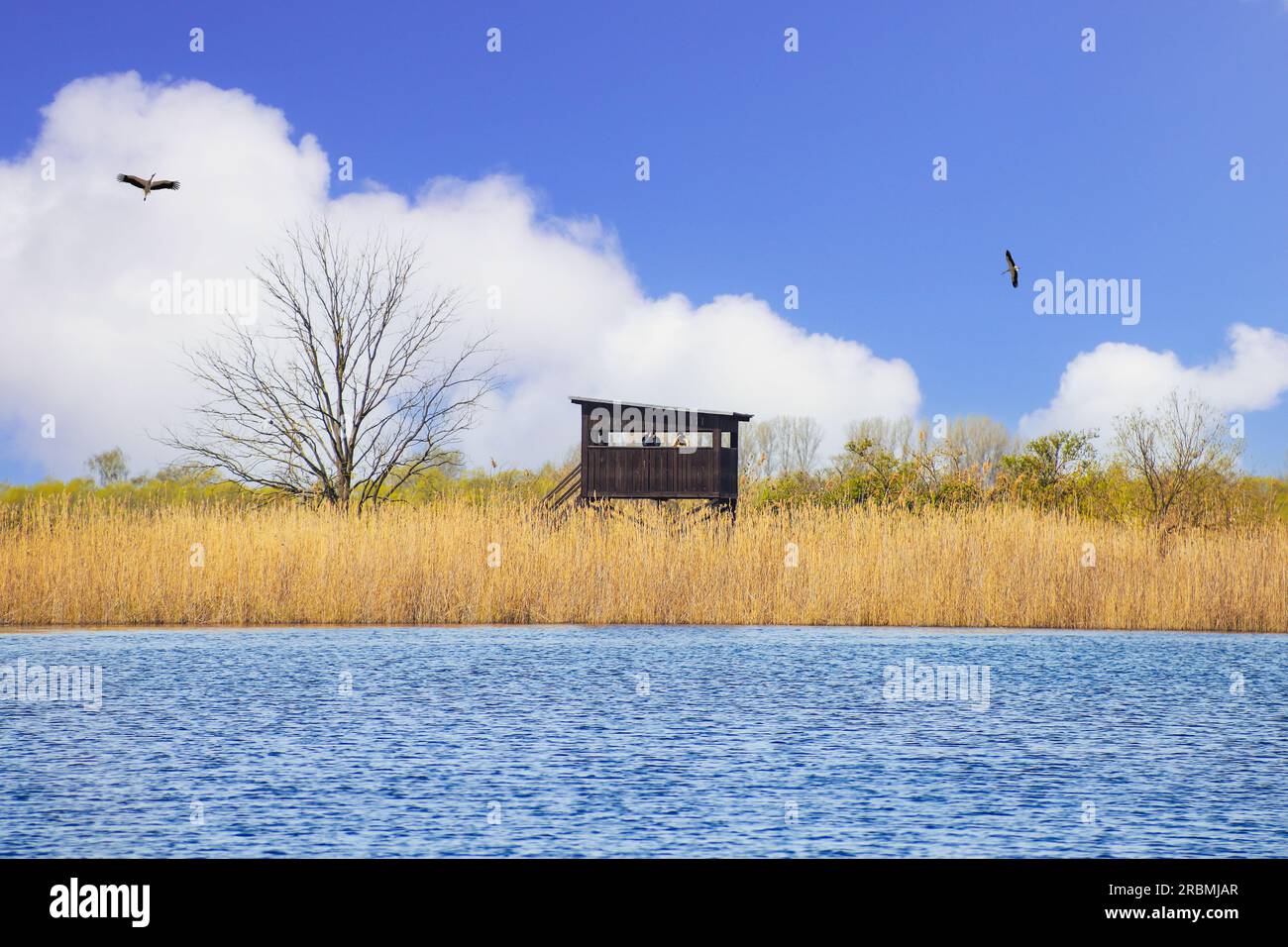 Ein Vogelbeobachtungsturm an einem Teich im Naturschutzgebiet „Linum“, Bundesland Brandenburg - Deutschland Stockfoto