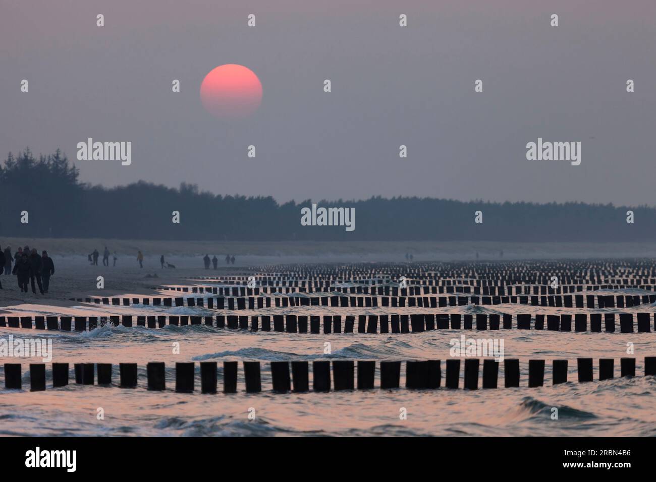 Groynes am Strand in Zingst, Mecklenburg-Vorpommern, Norddeutschland, Deutschland Stockfoto