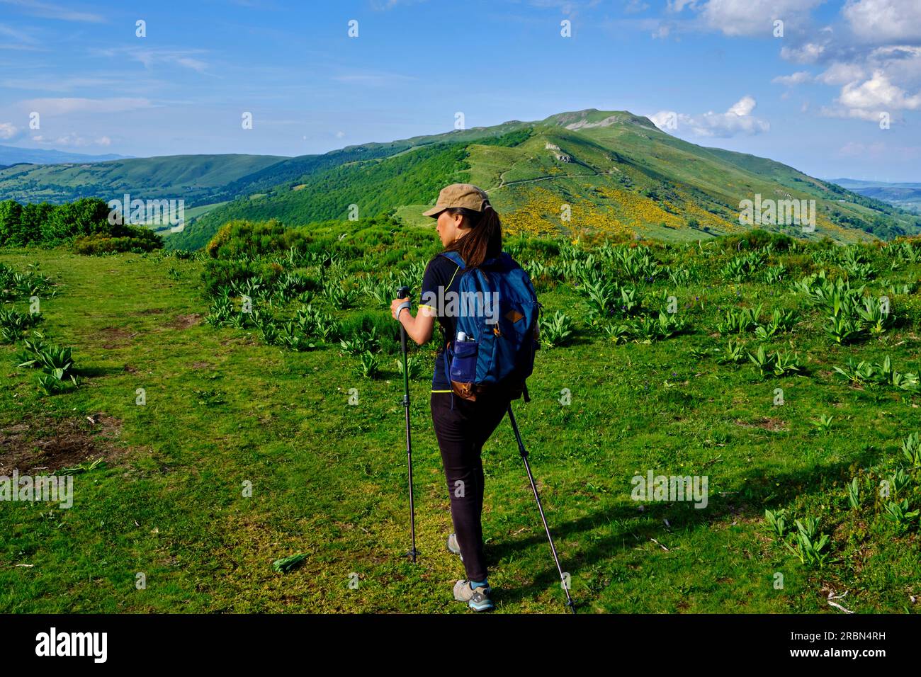 Frankreich, Cantal (15), Volcans d'Auvergne regionaler Naturpark, Kantal Berge, Wanderung nach Puy Mary Stockfoto