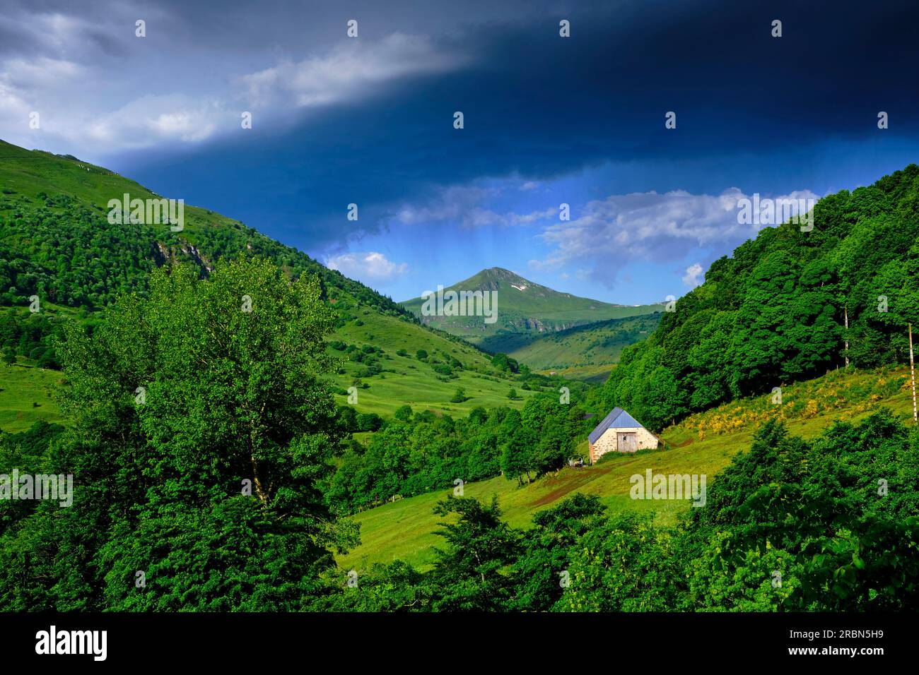Frankreich, Kantal, Auvergne-Vulkane, Kantalgebirge, Puy Mary auf einer Höhe von 1783 m. Stockfoto