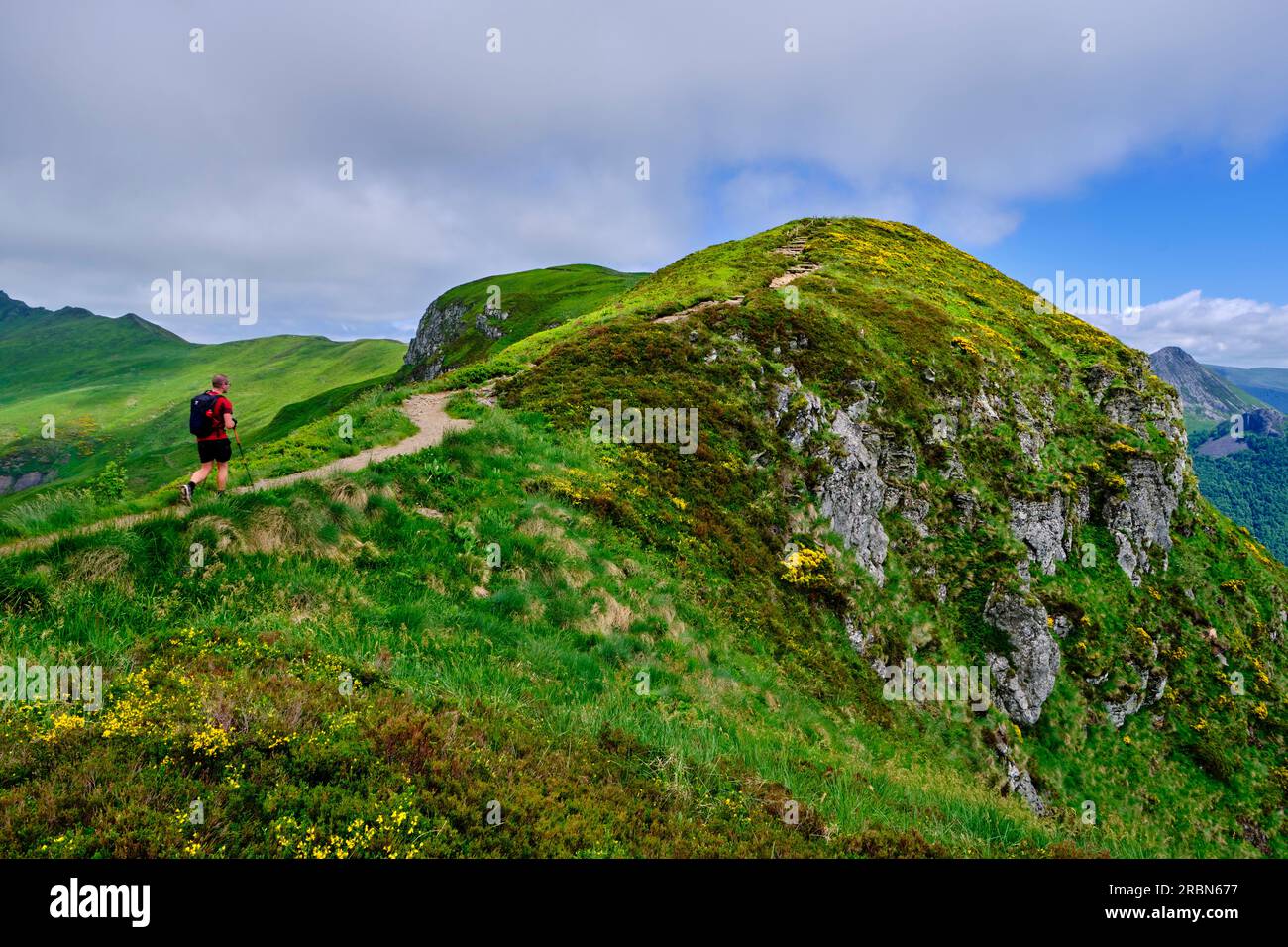 Frankreich, Cantal (15), Volcans d'Auvergne regionaler Naturpark, Kantal Berge, Wanderung nach Puy Mary Stockfoto