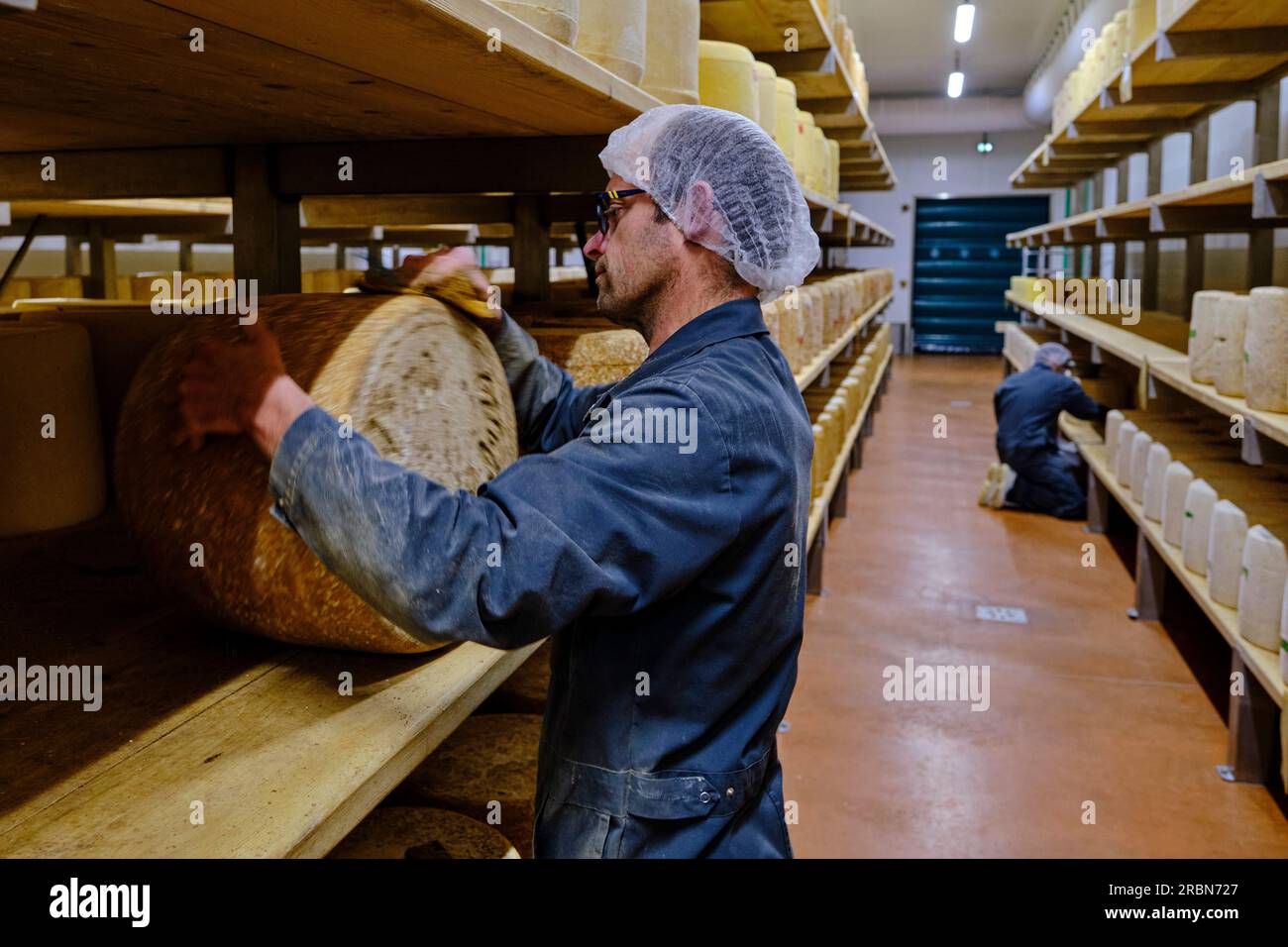 Frankreich, Cantal, Auvergne Volcanoes Regional Natural Park, Neussargues, La Cave de Marcel Charrade, Salers Cheese Raffinerie Stockfoto