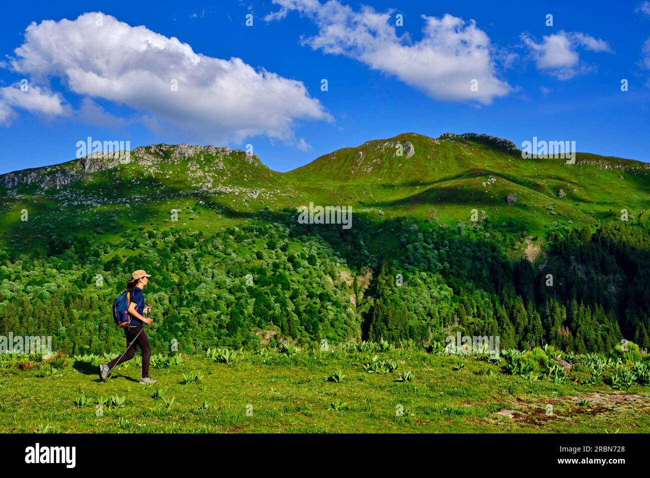 Frankreich, Cantal (15), Volcans d'Auvergne regionaler Naturpark, Kantal Berge, Wanderung nach Puy Mary Stockfoto