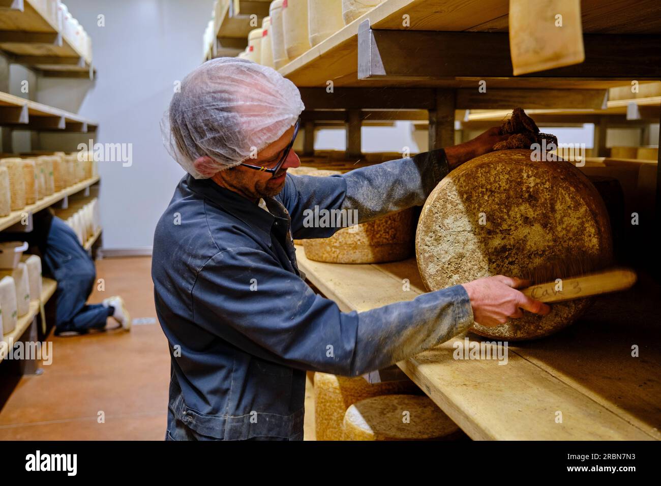 Frankreich, Cantal, Auvergne Volcanoes Regional Natural Park, Neussargues, La Cave de Marcel Charrade, Salers Cheese Raffinerie Stockfoto